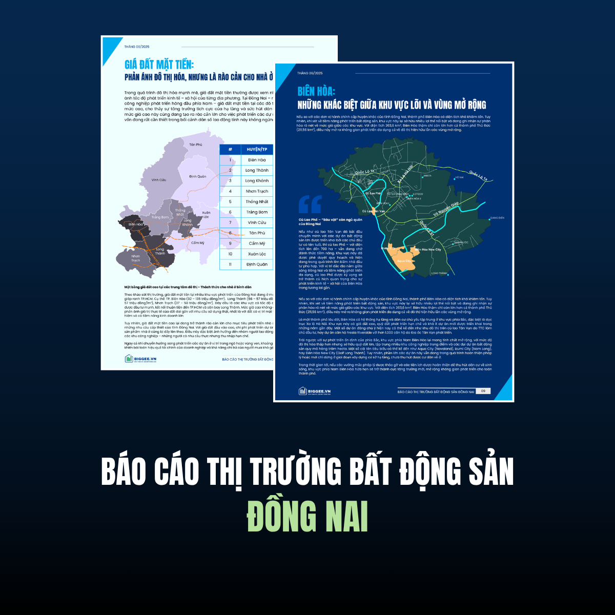 Báo cáo Đồng Nai