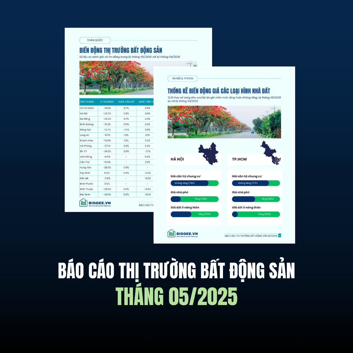 Báo cáo tháng 05/2025