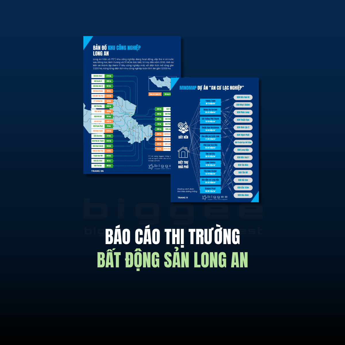 Báo cáo thị trường bất động sản Long An
