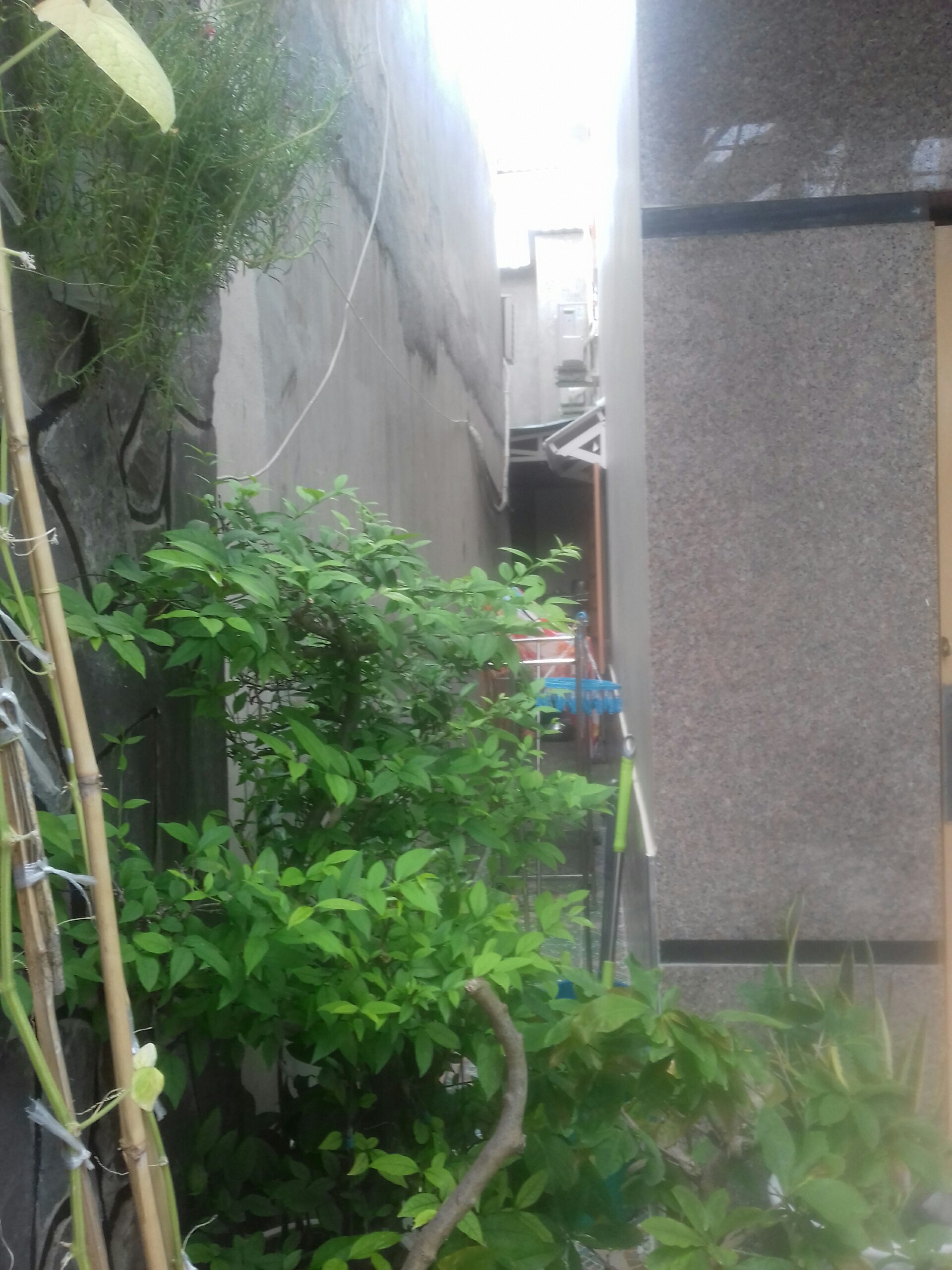 Biggee.vn