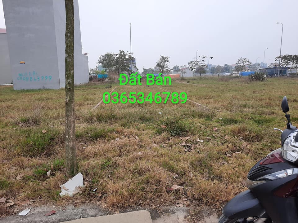 Biggee.vn