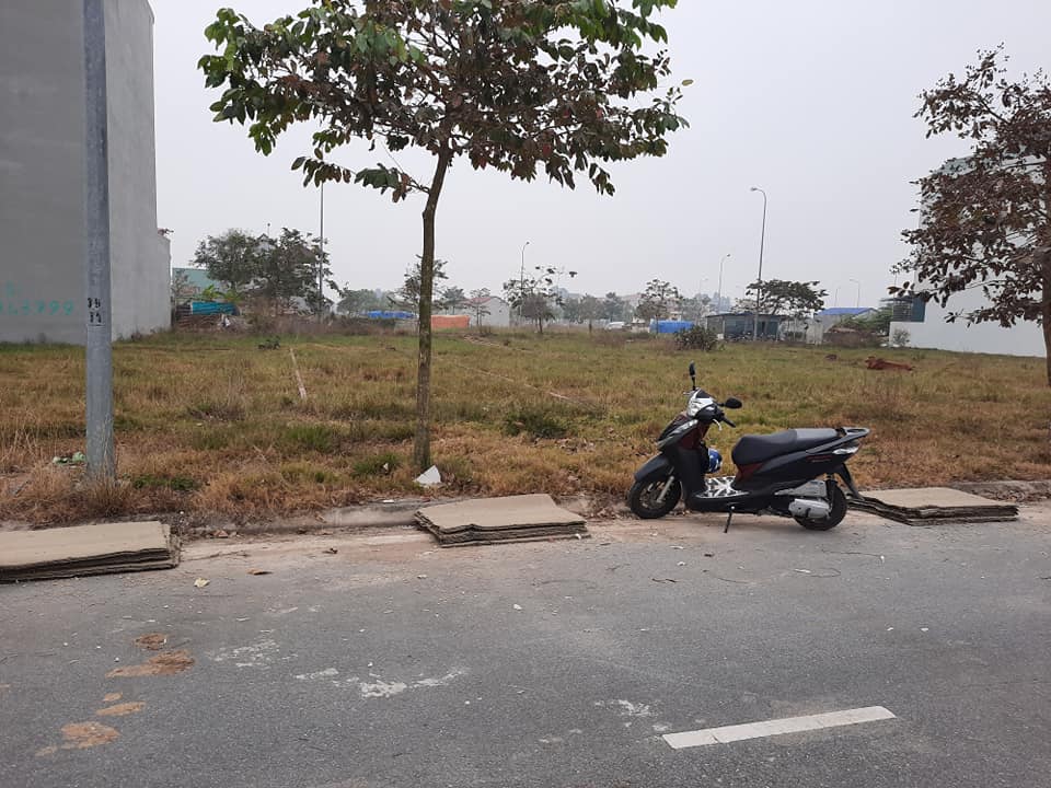 Biggee.vn