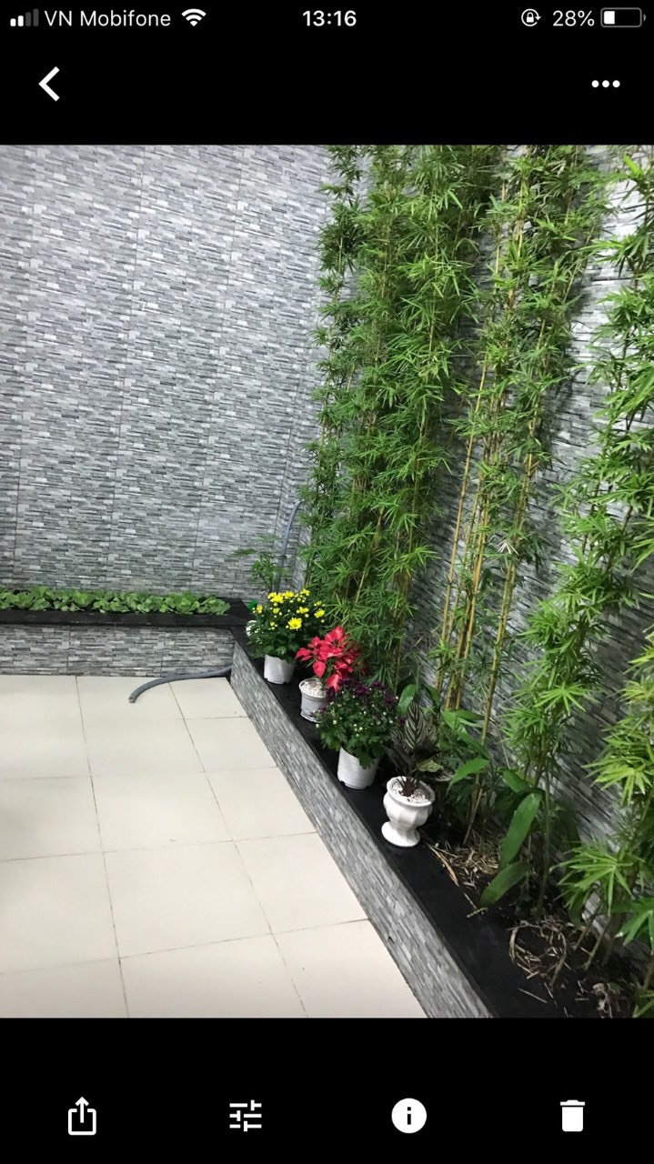 Biggee.vn