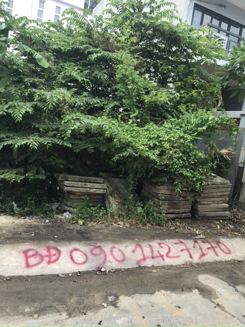 Biggee.vn